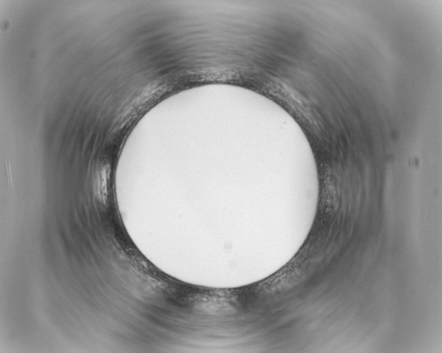 X0000086990118200705141751