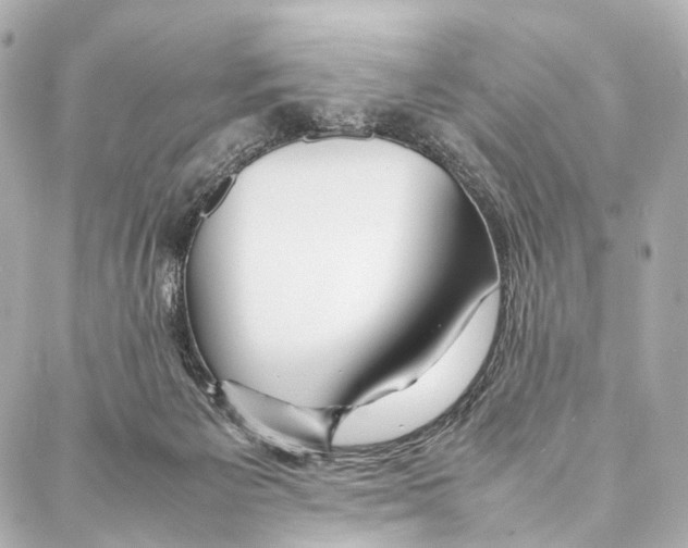 X0000086990125200705141750