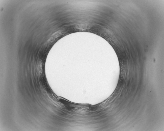 X0000086990128200705141750