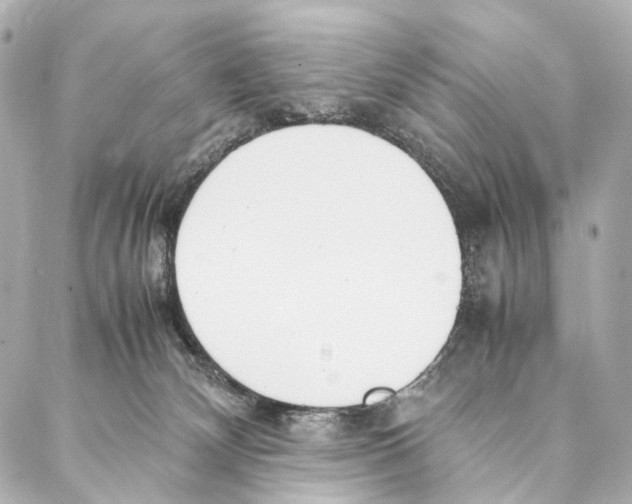 X0000086990132200705141750