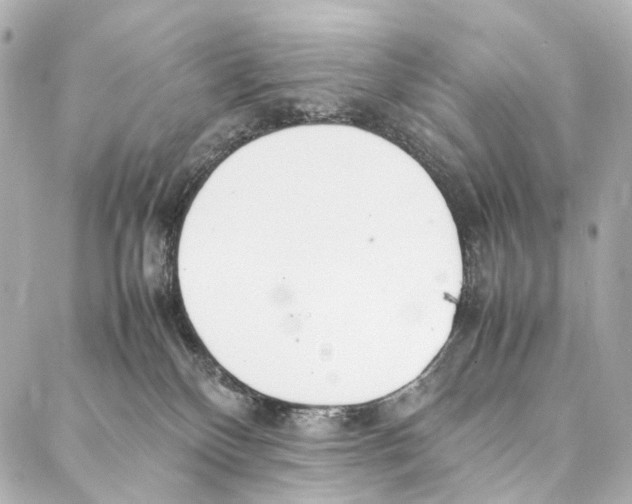 X0000086990136200705141750