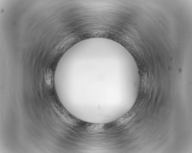 X0000086990138200705141750