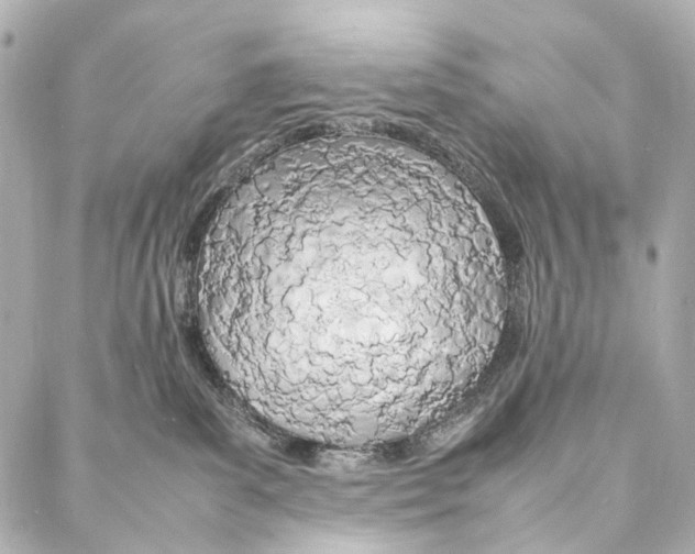 X0000086990139200705141750