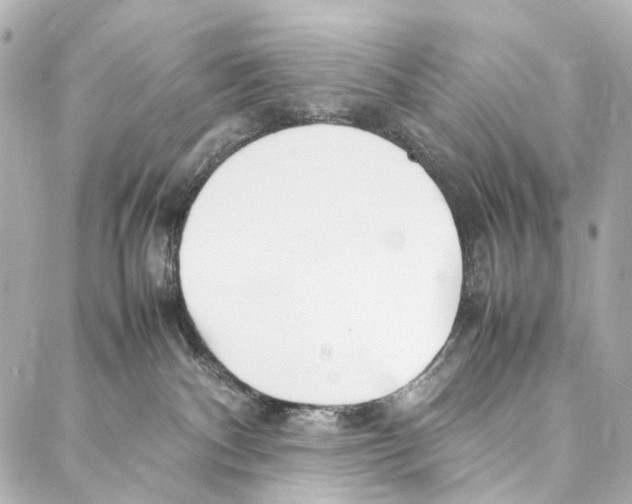 X0000086990140200705141750