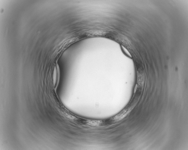 X0000086990143200705141750