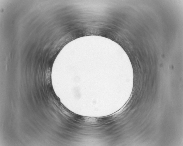 X0000086990144200705141750