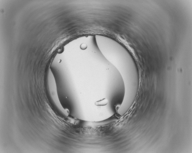 X0000086990154200705141749