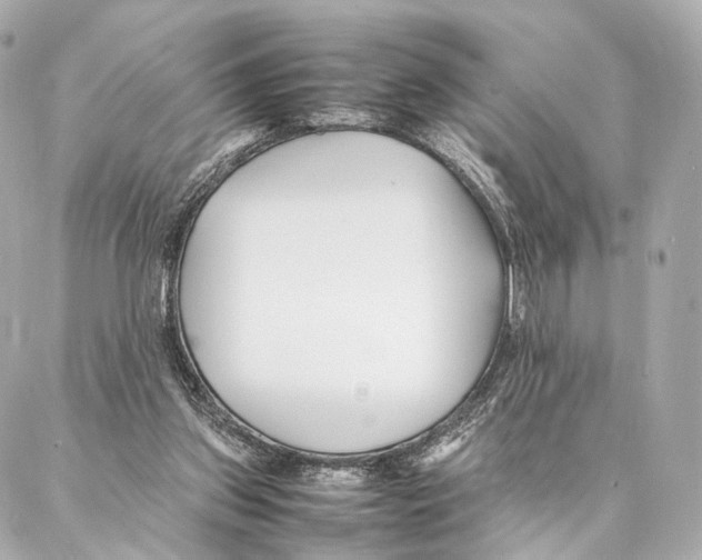X0000086990157200705141750