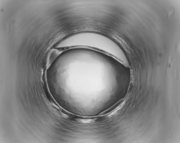 X0000086990158200705141750