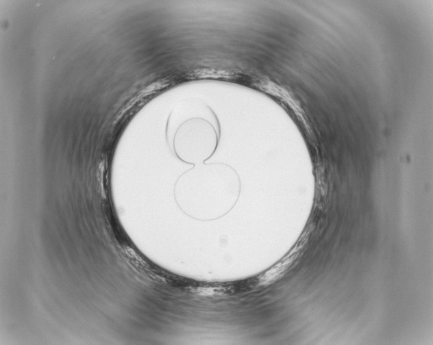 X0000086990162200705141750