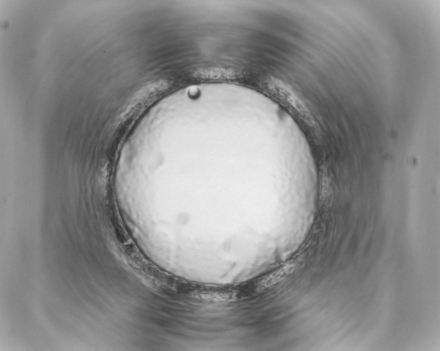 X0000086990163200705141750