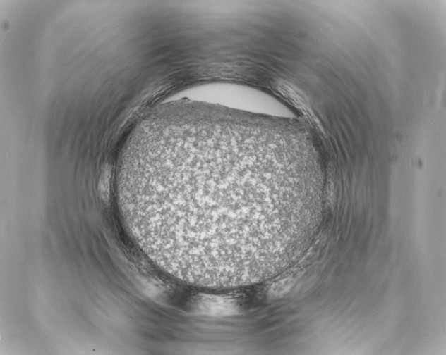 X0000086990167200705141750