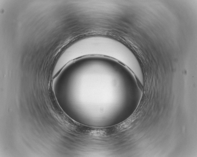 X0000086990168200705141750