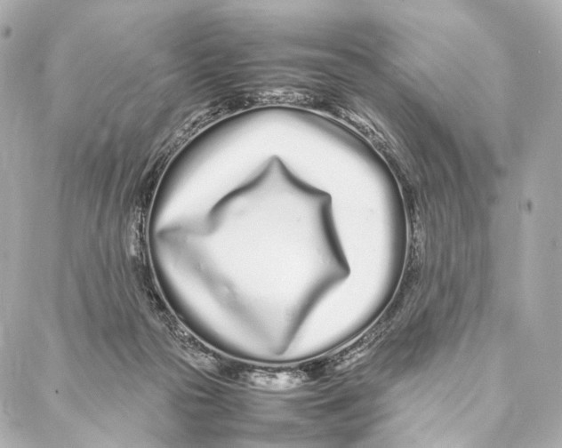 X0000086990169200705141750