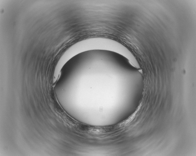 X0000086990174200705141750