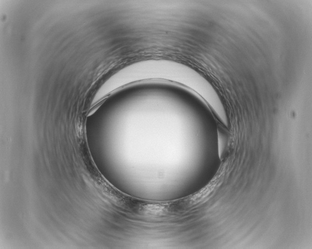 X0000086990176200705141750