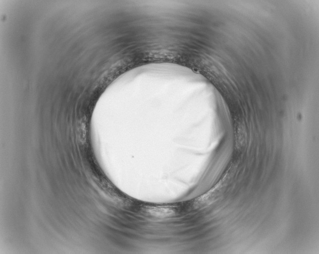 X0000086990183200705141750
