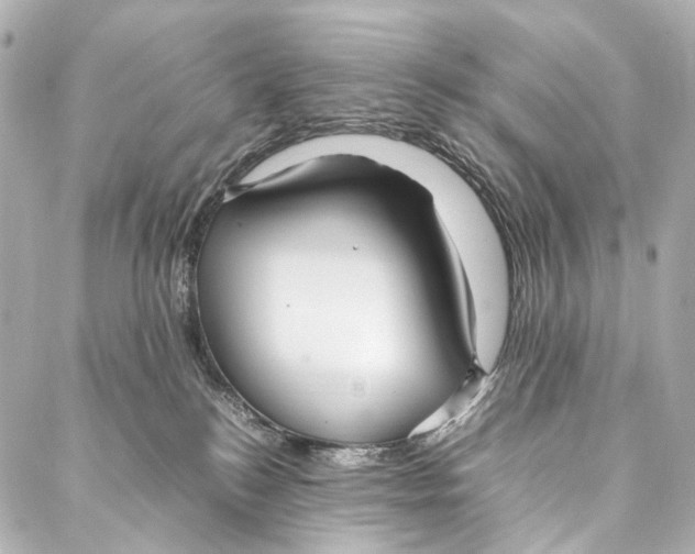 X0000086990184200705141750