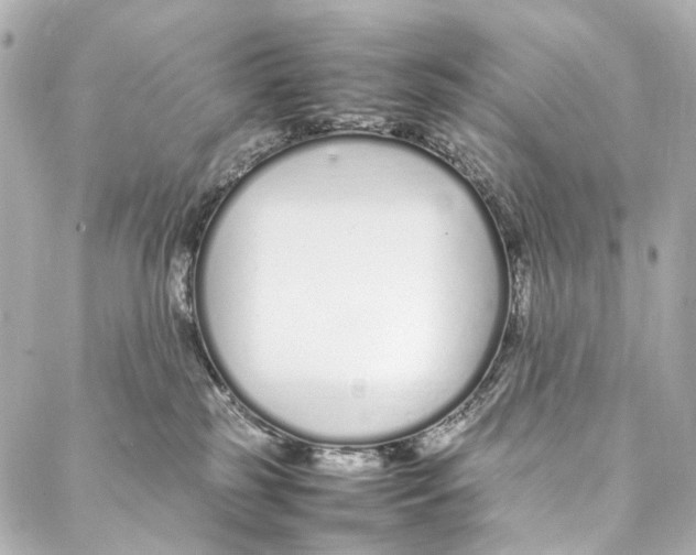 X0000086990185200705141750