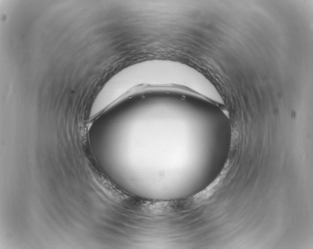 X0000086990186200705141750