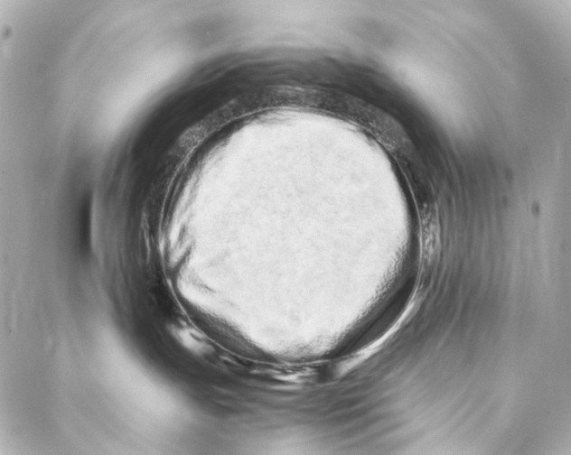 X0000086990191200705141750