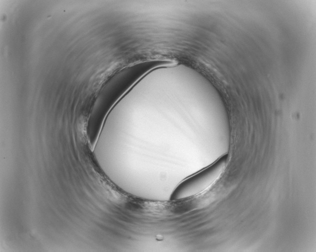 X0000086990192200705141750