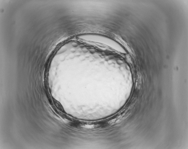 X0000086990203200705141749