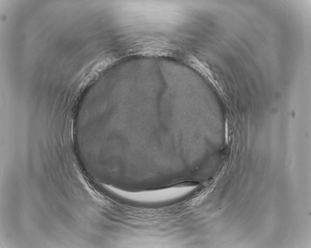 X0000086990205200705141749
