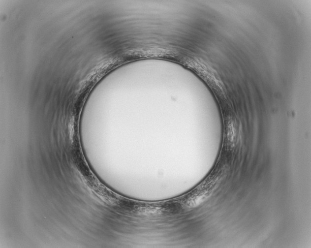X0000086990206200705141749