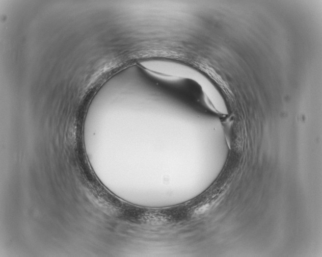 X0000086990207200705141749