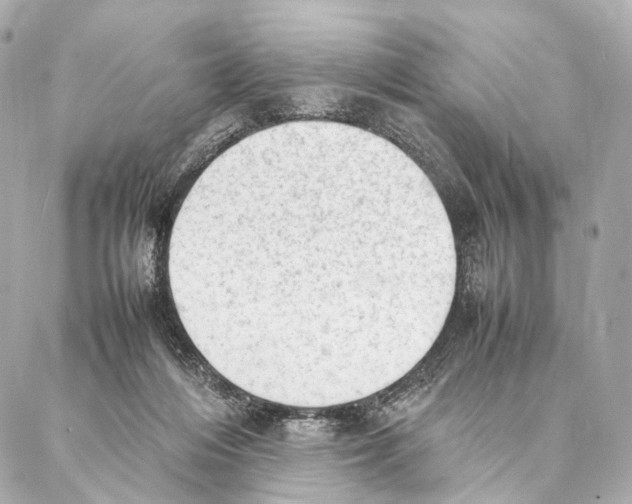 X0000086990216200705141749