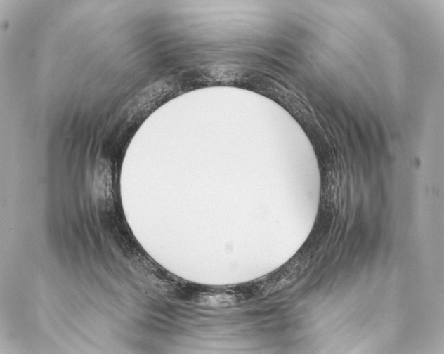 X0000086990220200705141749