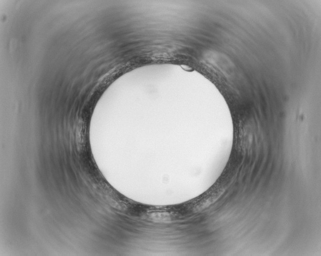 X0000086990228200705141749
