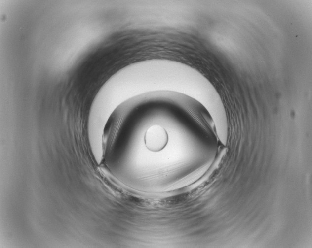 X0000086990239200705141749