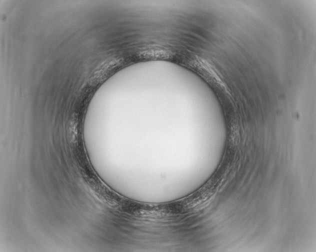 X0000086990259200705141748