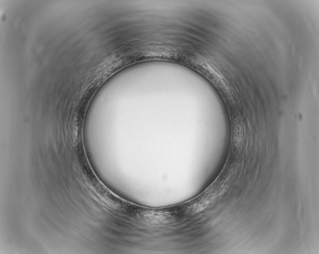 X0000086990261200705141748