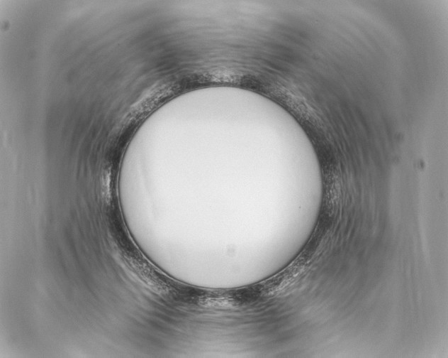 X0000086990262200705141748