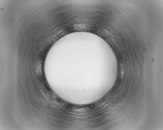 X0000086990267200705141748