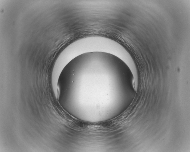 X0000086990268200705141748