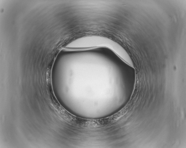 X0000086990272200705141748