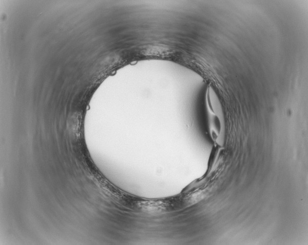X0000086990273200705141748