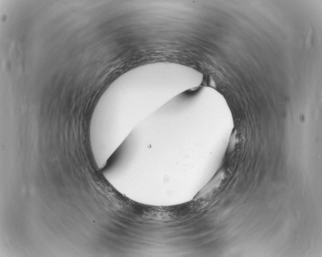 X0000086990276200705141748