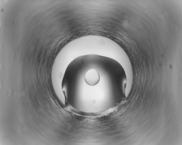 X0000086990280200705141748