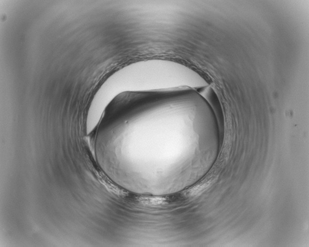 X0000086990288200705141749