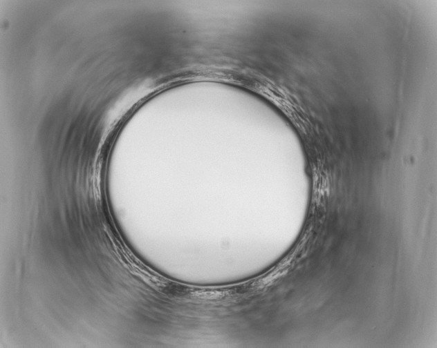 X0000086990294200705141748