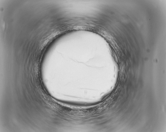X0000086990297200705141748