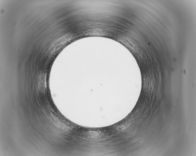 X0000086990302200705141748