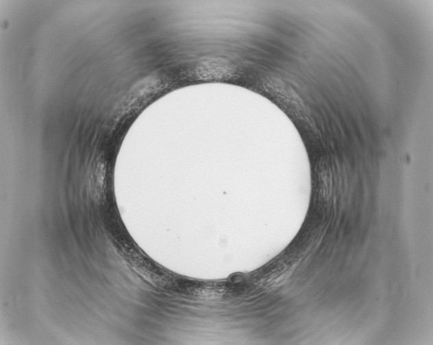 X0000086990308200705141747