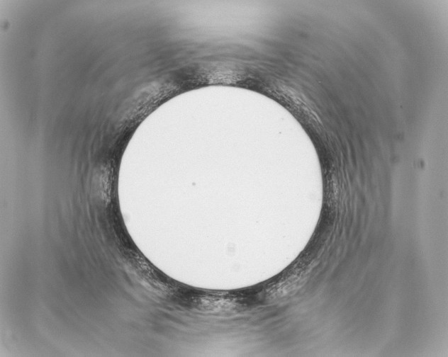 X0000086990311200705141747