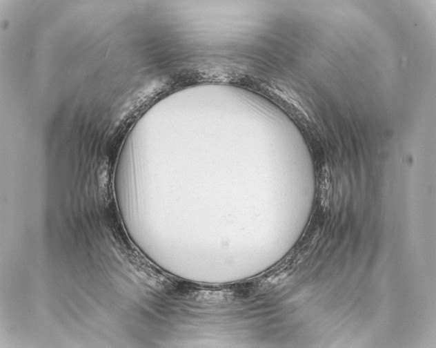 X0000086990314200705141747